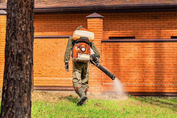 Bed Bug Clearance Verification and Documentation in Camp Verde